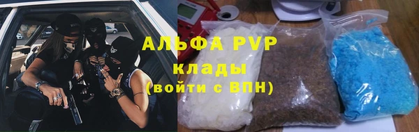спиды Новозыбков