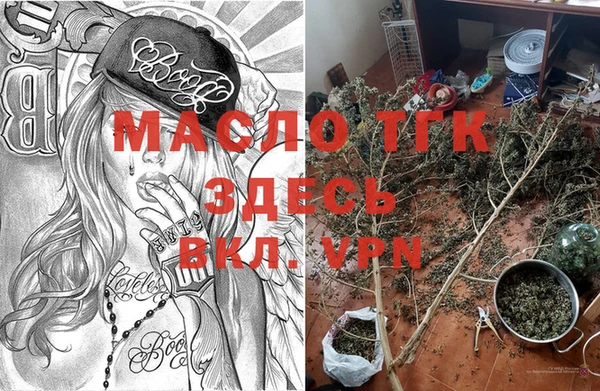 спиды Новозыбков