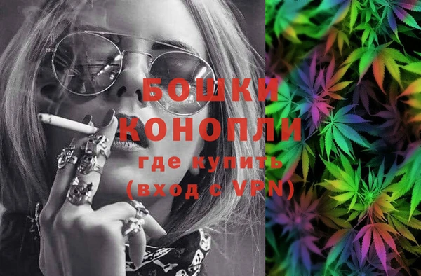 спиды Новозыбков