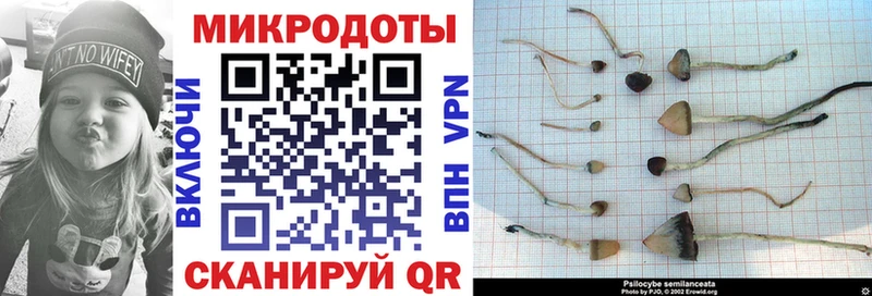 Псилоцибиновые грибы мухоморы  Отрадный 
