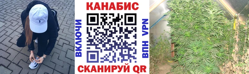 Марихуана AK-47 blacksprut ONION Отрадный