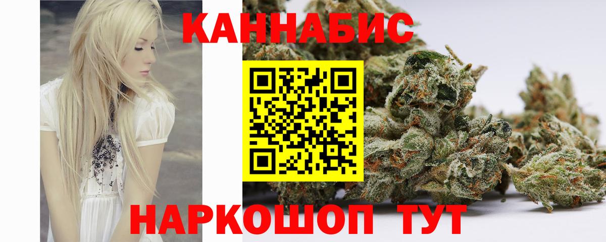 Каннабис планчик Отрадный